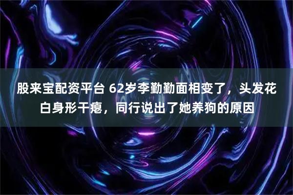股来宝配资平台 62岁李勤勤面相变了，头发花白身形干瘪，同行说出了她养狗的原因