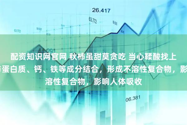 配资知识网官网 秋柿虽甜莫贪吃 当心鞣酸找上门 鞣酸易与蛋白质、钙、铁等成分结合，形成不溶性复合物，影响人体吸收