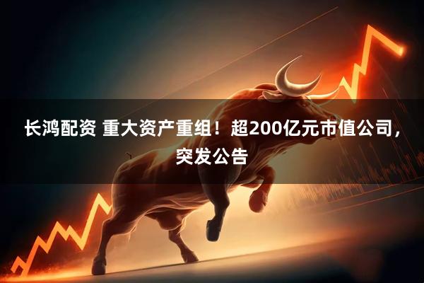 长鸿配资 重大资产重组！超200亿元市值公司，突发公告
